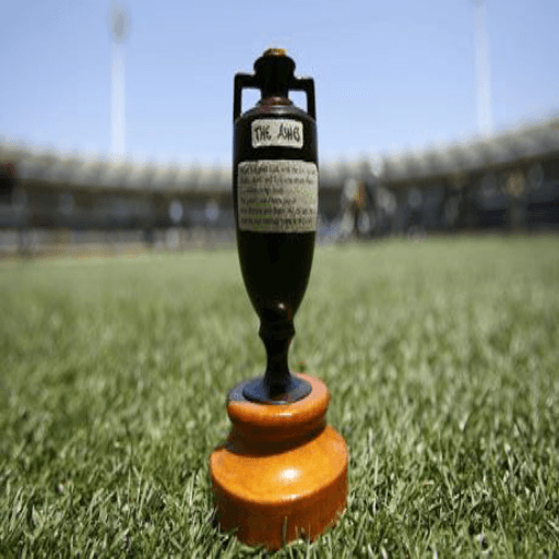Image of ashes-test
