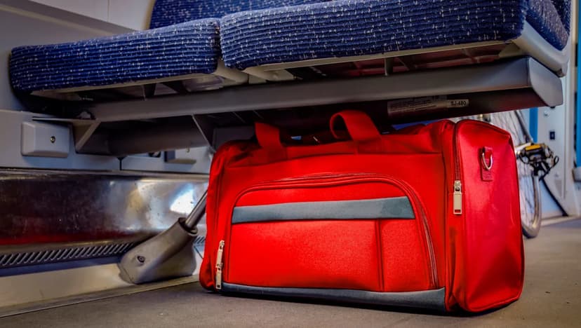 Turtles Seized from Train in Wildlife Smuggling Bust