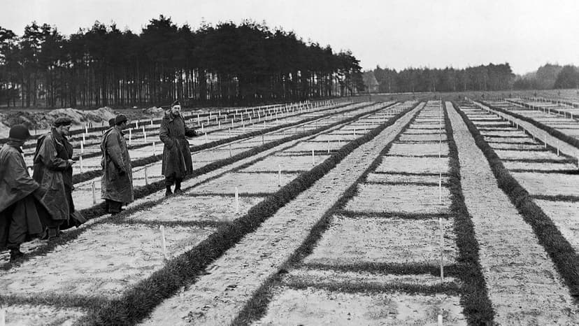 105-Year-Old Guard Investigated for WWII Nazi Camp Murders