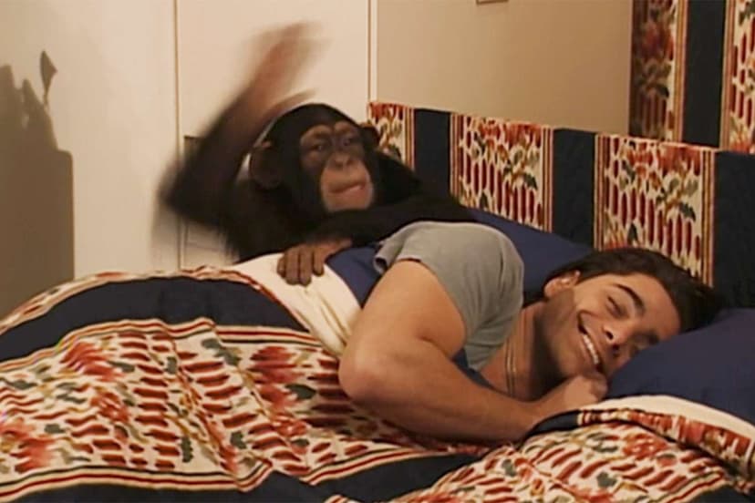 Full House Star John Stamos Recalls Terrifying Chimp Encounter on Set
