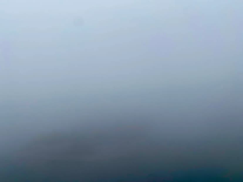 150-Vehicle Pileup Cripples Highway 99 in Dense Fog