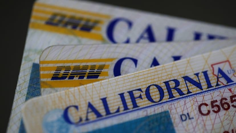 Millions of Driver's Licenses Sold on Hacker Site