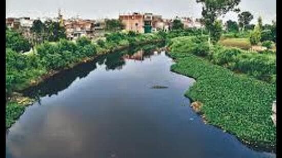 ₹19.6 Crore Dues Cripple Buddha Nullah Cleanup