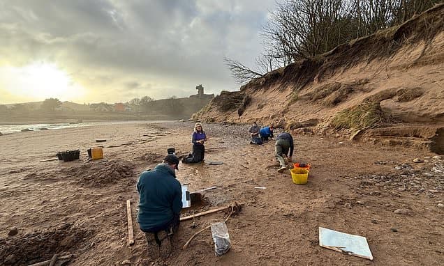 Storms Reveal Rare 2,000-Year-Old Scottish Prints