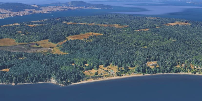 Horror Discovery: 21 Dead Canines Wash Ashore on Island