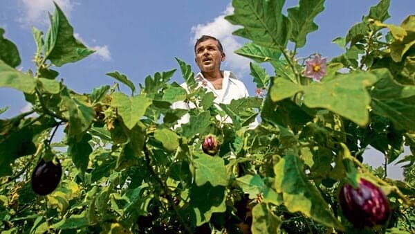 Food Processing Boost: ₹28,000 Cr Plan Unveiled