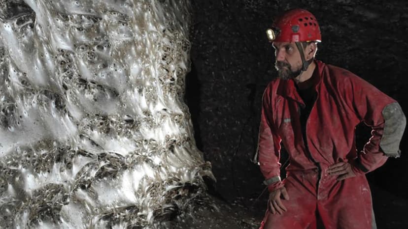 Massive Spider Colony of 111,000 Spiders Discovered in Sulfur Cave