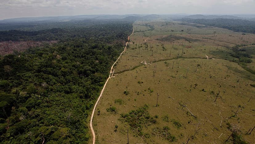 Earth's Tipping Points: 51 Solutions for Rapid Repair