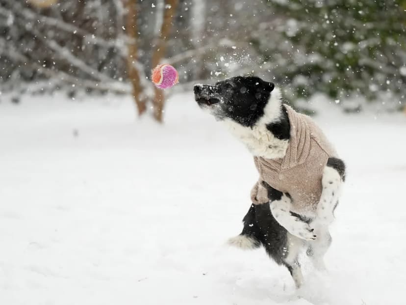 East Tennessee Prepares for Milder, Snowier Winter in 2025-26