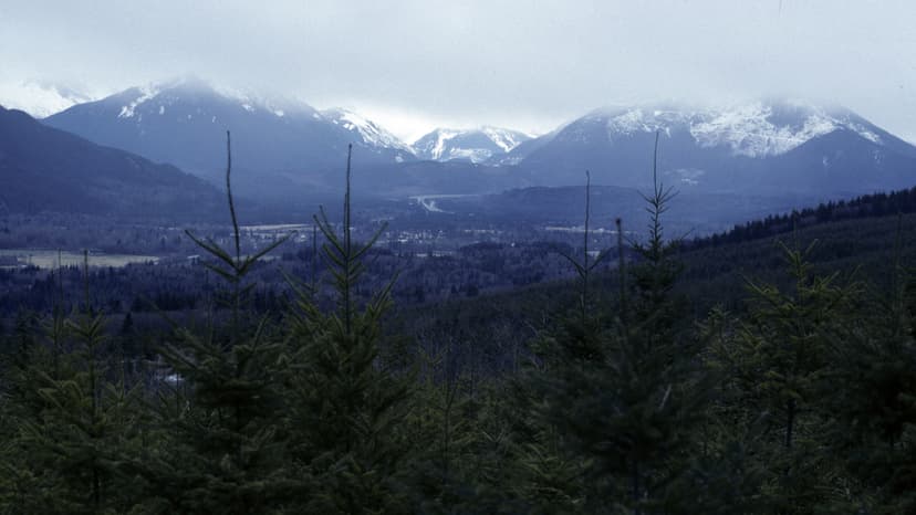 'Twin Peaks' Creators Stumbled Upon Iconic Setting by Chance