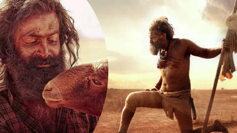 National Awards Snub: Fans Outraged