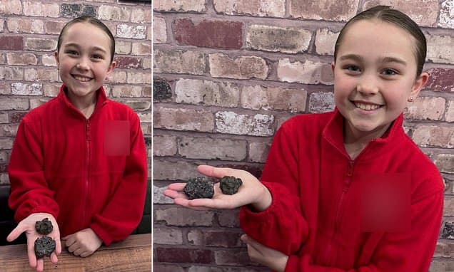 Girl, 9, Finds 4.5 Billion-Year-Old Meteorite in Wales