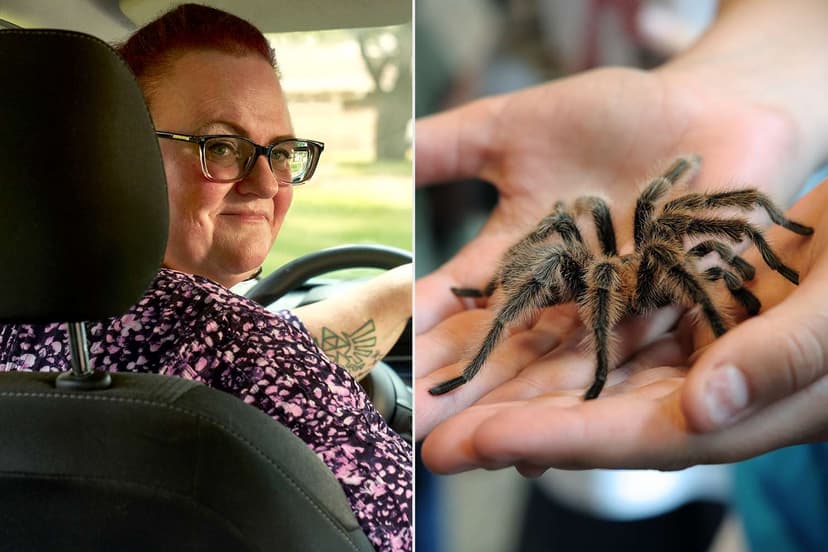 Lyft Driver Rescues Couple's Forgotten Tarantula After Halloween Party