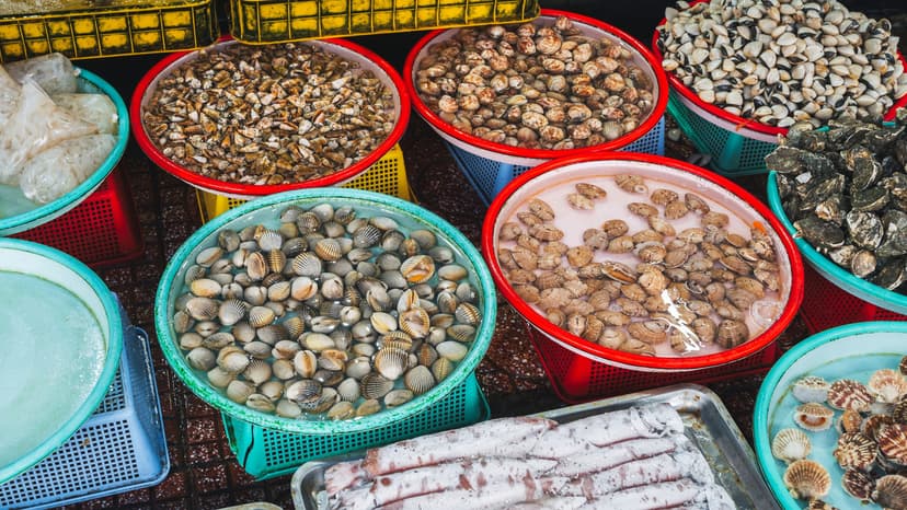 Abalone: From Coastal Feast to Endangered Memory