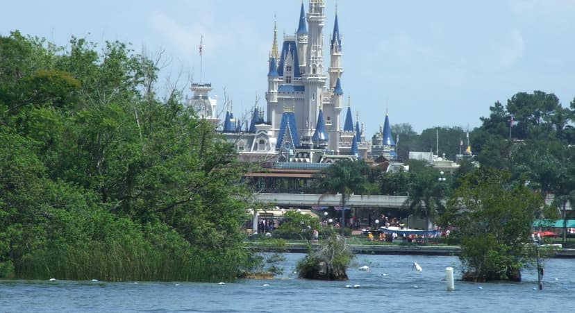 Nature Reclaims Abandoned Disney Water Park
