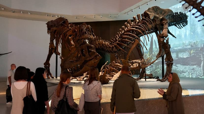 Abu Dhabi: From Desert Sands to Ancient Rivers