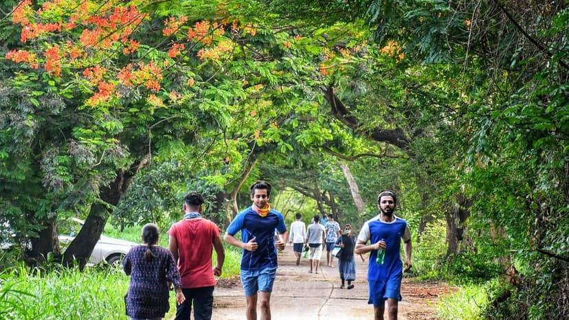 Active Transport Fights Climate Change and Boosts Health