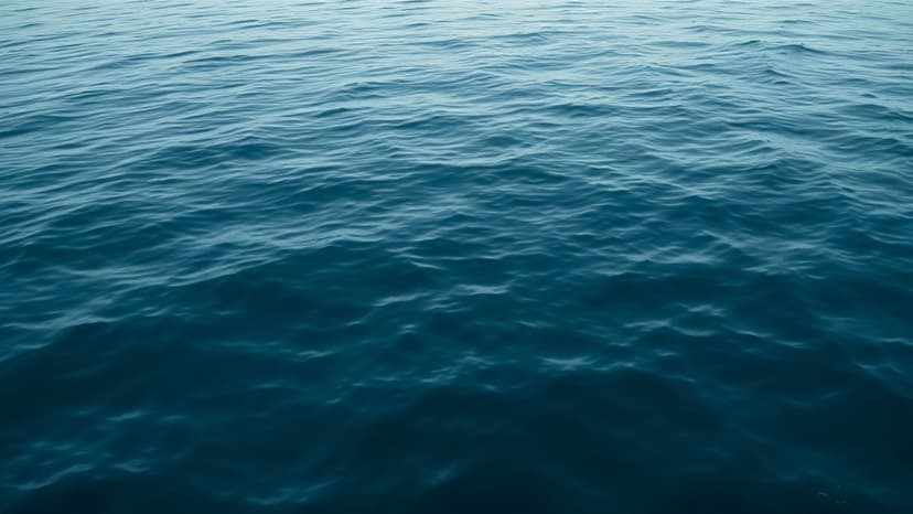 Actor Drowns During TV Shoot