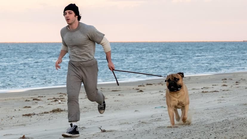 Stallone Actor's Grueling Body Transformation for 'I Play Rocky'