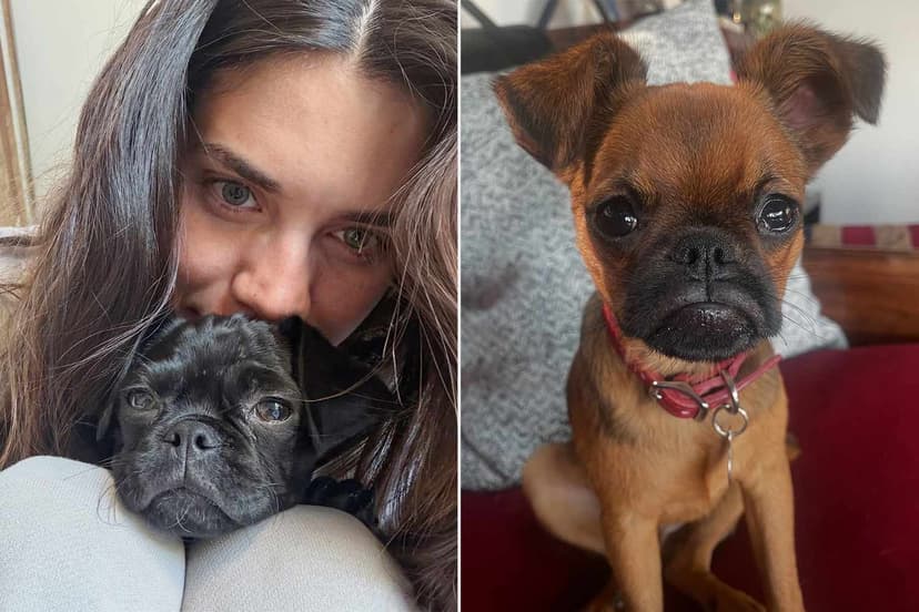 Actress Finds New Love After Dog's Mysterious Disappearance