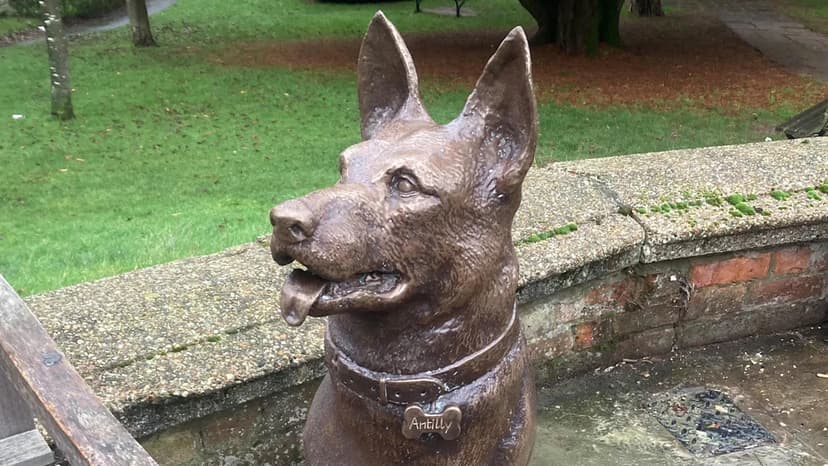 After Life's Beloved Dog Honored with Statue