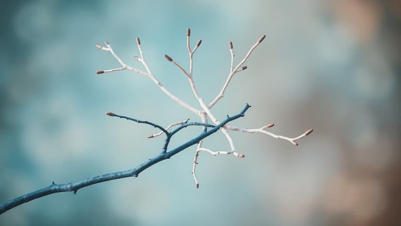 Ahaan Panday Clarifies Saiyaara Co-Star Relationship