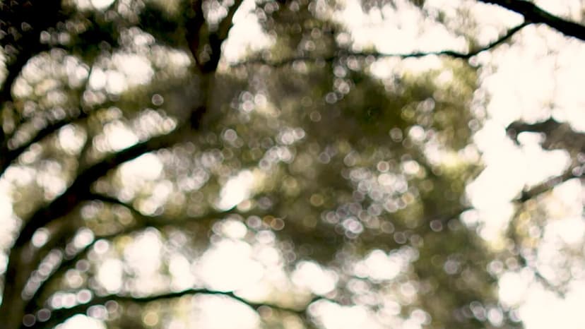 AI Agents: Young Coders' Obsession Fuels Anxiety