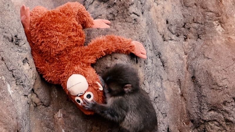 AI Revolutionizes Art Attribution