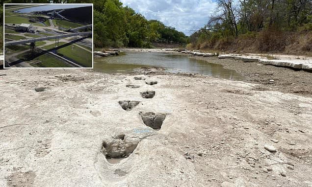 Dinosaur Park Threatened by AI Data Center