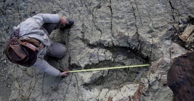 AI Cracks Dinosaur Footprint Mystery