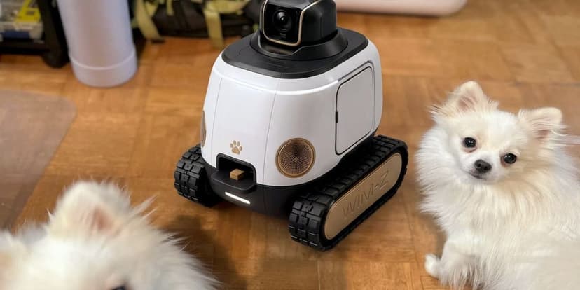 AI Robot Trains Dogs Using Treats While You're Away