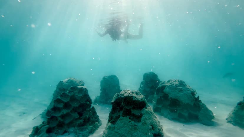 AI Builds Beaches to Reverse Sea Level Rise Impact