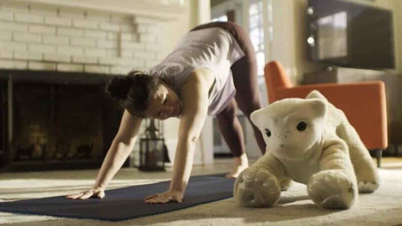 Roomba CEO's New Pet: AI Robot Companions