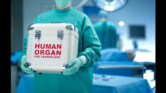 AIIMS Bathinda: Punjab's New Cadaver Transplant Hub
