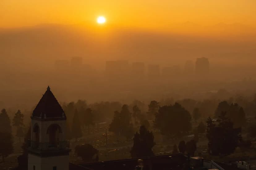 Air Pollution Mix Harms Pregnancies