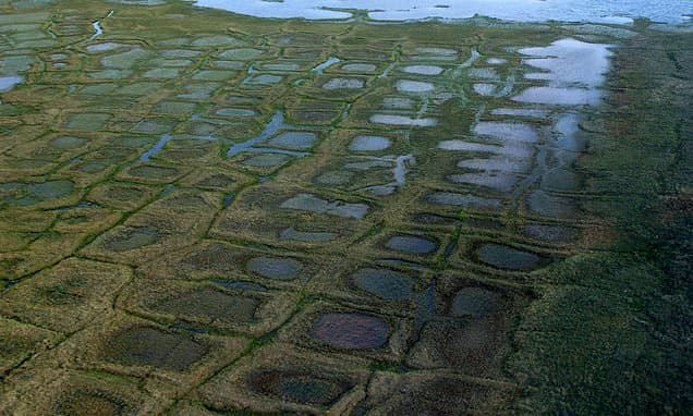 Arctic Drilling Fight: Indigenous Group Sues Feds