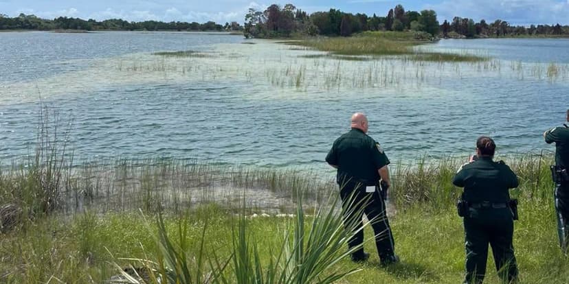 Alligator Attack: Child Bitten While Swimming in Florida