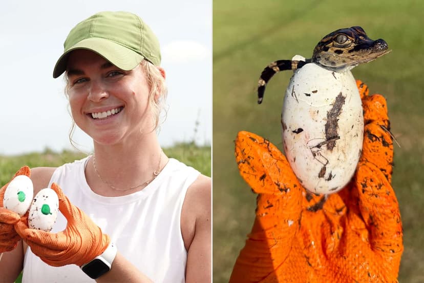 Swamp to Style: Alligator Farmer's Wild Ride