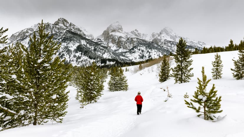 Left for Dead: The Chilling Reality of 'Alpine Divorce'