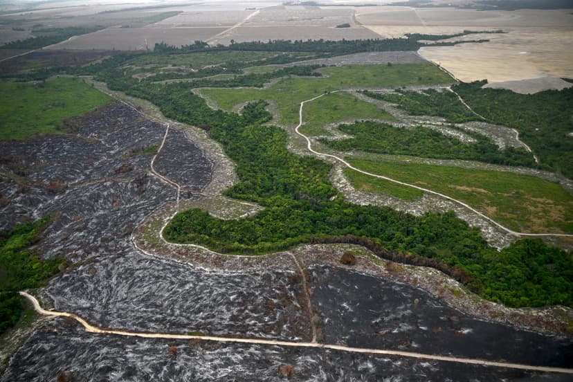 Amazon Gold Rush Fuels Deforestation and Mercury Poisoning
