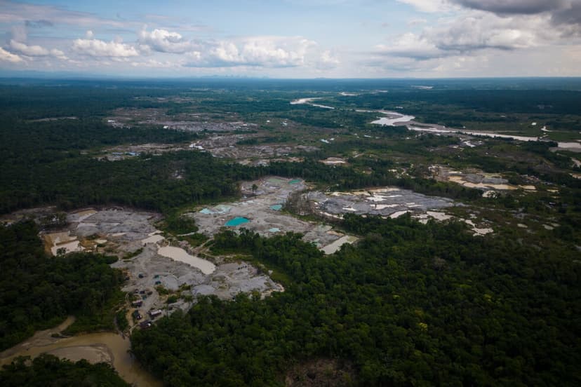 Amazon Nations Launch Massive Environmental Crime Sweep