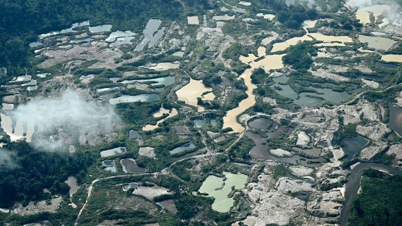 Amazon's 'Flying Rivers' Crucial for South America's Survival