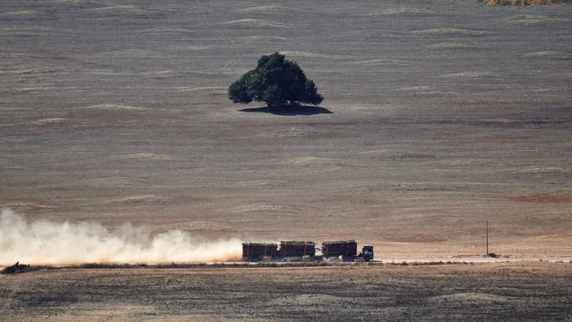 Amazon Tipping Point: Rainforest Could Turn to Grassland in Decades