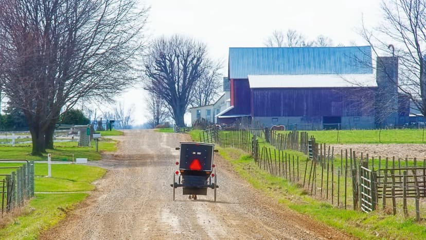 Amish Winter Laundry Hack: Freeze-Dry Your Clothes!