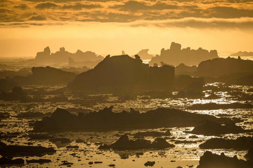 Ocean Current Could Rebound From Climate Collapse