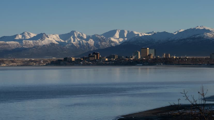 Anchorage Pioneers Phone Voting in Historic Municipal Election