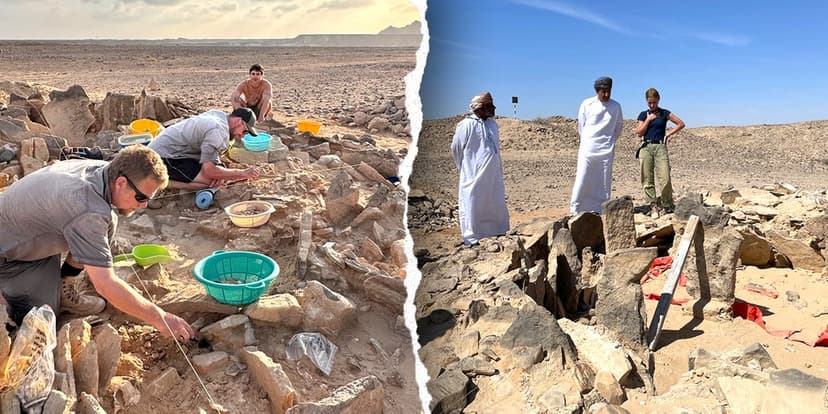 Ancient Arabs Ate Sharks: Study Reveals Diet