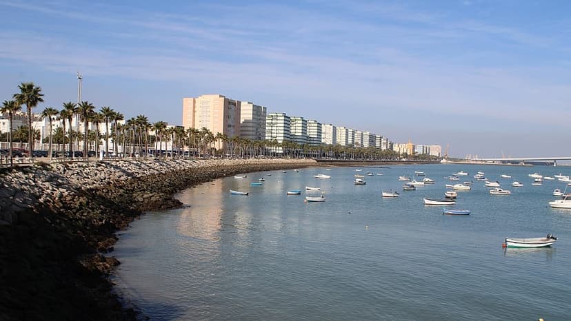 Ancient Shipwreck Yields DNA and Edible Treasures