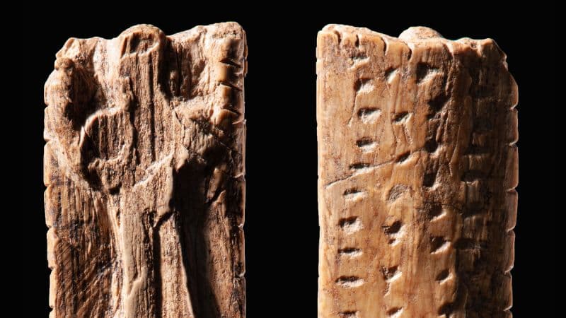 Stone Age Marks Hint at Writing's Ancient Roots