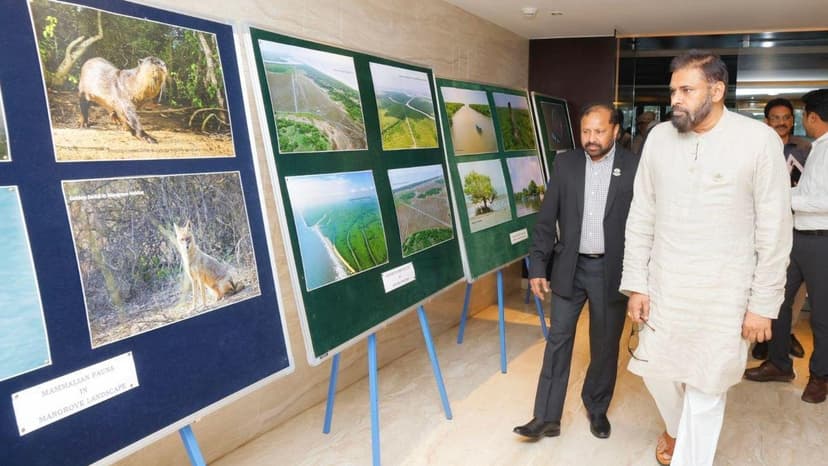 Andhra Pradesh Aims to Be Mangrove Conservation Leader